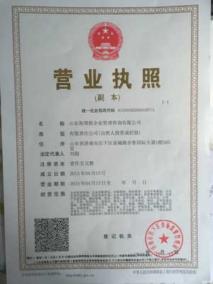 山東斯塔斯企業(yè)管理咨詢 專業(yè)賦能，引領(lǐng)企業(yè)發(fā)展新篇章